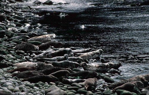 GRS PGHEvans8 image grs_pghevans8-jpg