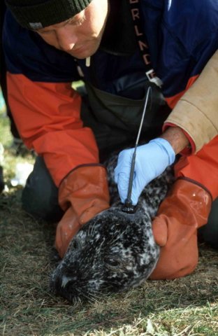 HRBS ARoos2 image hrbs_aroos2-jpg