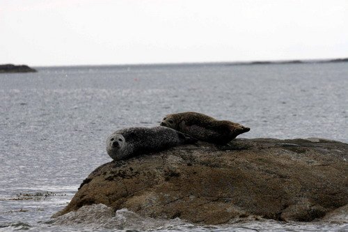 HRBS PAnderwald067 image hrbs_panderwald067-jpg
