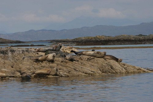 HRBS PAnderwald3 image hrbs_panderwald3-jpg