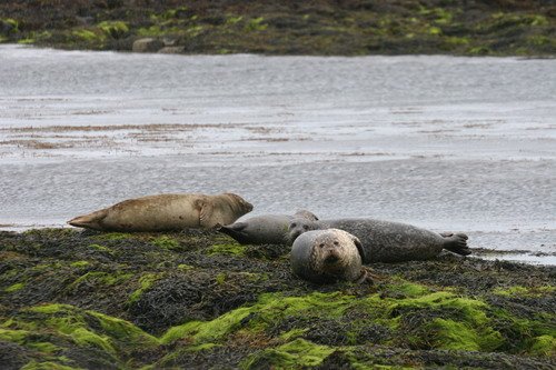 image hrbs_panderwald7210-jpg