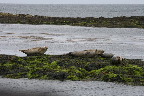 image hrbs_panderwald7215-jpg