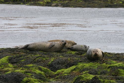 image hrbs_panderwald7216-jpg