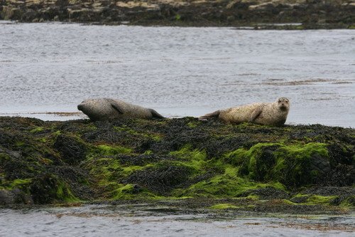 image hrbs_panderwald7226-jpg