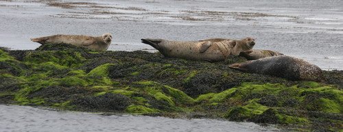 HRBS PGHEvans1030 image hrbs_pghevans1030-jpg