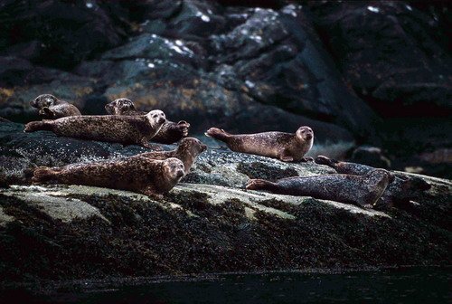 HRBS PGHEvans13 image hrbs_pghevans13-jpg