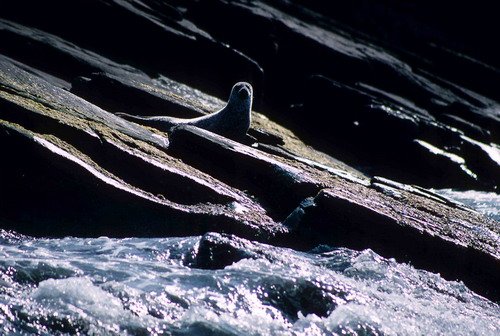 HRBS PGHEvans16 image hrbs_pghevans16-jpg