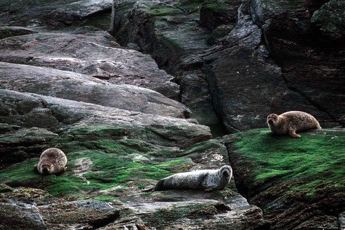 HRBS PGHEvans17 image hrbs_pghevans17-jpg