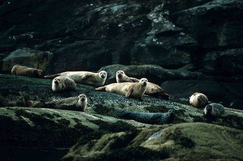 HRBS PGHEvans24 image hrbs_pghevans24-jpg