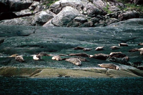 HRBS PGHEvans25 image hrbs_pghevans25-jpg