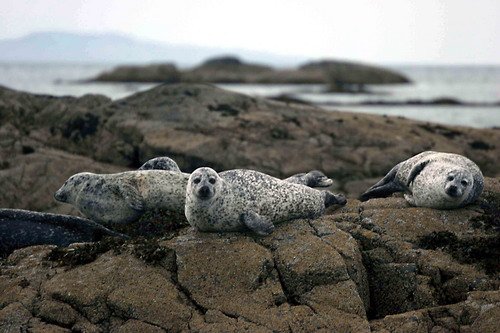 HRBS PGHEvans39 image hrbs_pghevans39-jpg