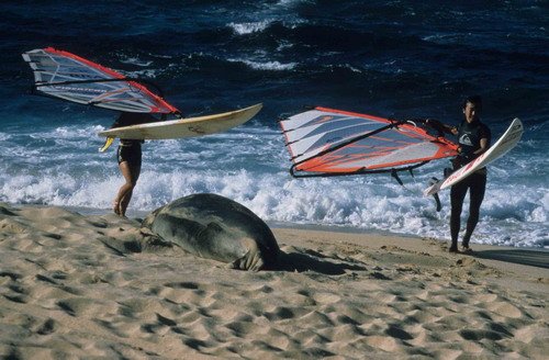 HMONKS RBaird2 image hmonks_rbaird2-jpg