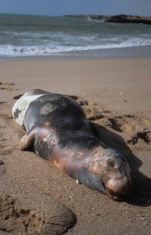 image mmonks_aaguilar1-jpg