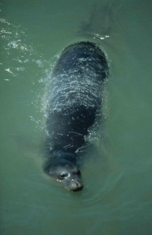 image mmonks_aaguilar2-jpg