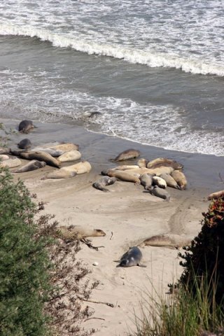 NELS PGHEvans7082a image nels_pghevans7082a-jpg