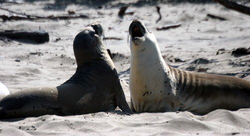 NELS PGHEvans7099a image nels_pghevans7099a-jpg