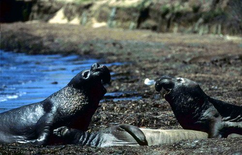 NELS TWamsley2 image nels_twamsley2-jpg