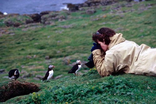 APUFF PGHEvans29 image apuff_pghevans29-jpg