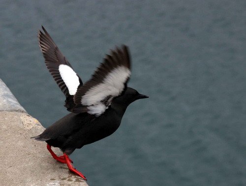 image blg_pghevans29-jpg