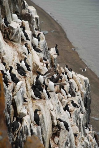 BRG DWisniewska1 image brg_dwisniewska1-jpg