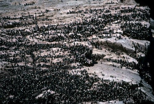 BRG PGHEvans2 image brg_pghevans2-jpg