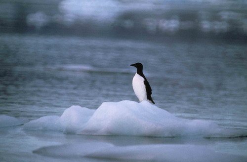 BRG PGHEvans5 image brg_pghevans5-jpg