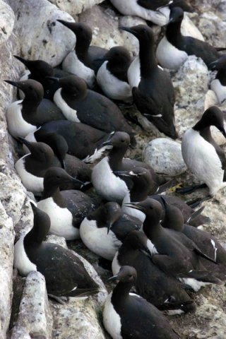 image comg_pghevans10-jpg