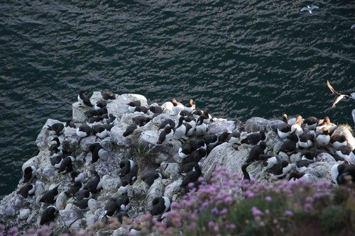 COMG PGHEvans8 image comg_pghevans8-jpg