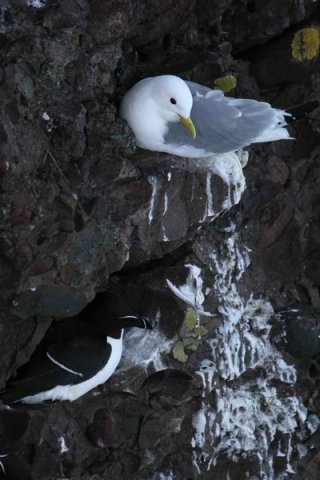 RAZ PGHEvans10 image raz_pghevans10-jpg