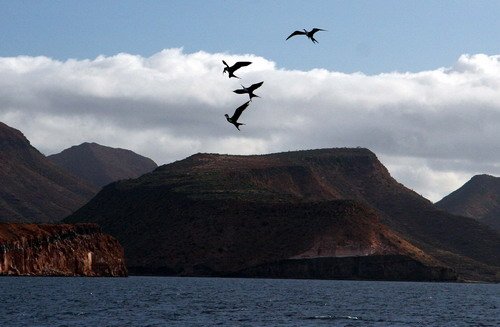 MFB PGHEvans 6358 image mfb_pghevans_6358-jpg