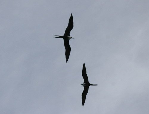 MFB PGHEvans 6382 image mfb_pghevans_6382-jpg