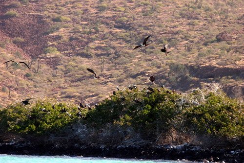 image mfb_pghevans_6772-jpg