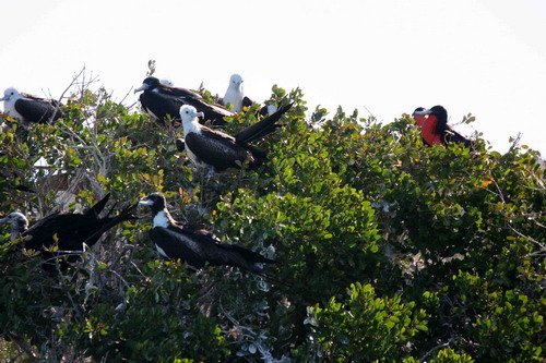 image mfb_pghevans_6779-jpg