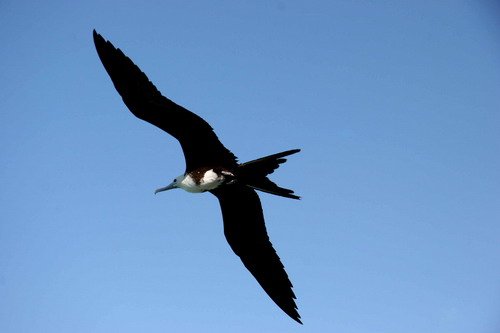 MFB PGHEvans 6814 image mfb_pghevans_6814-jpg