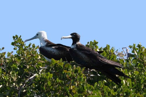 MFB PGHEvans 6834 image mfb_pghevans_6834-jpg