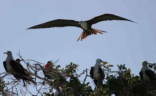 MFB PGHEvans 6847 image mfb_pghevans_6847-jpg