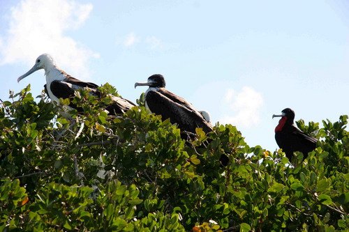 MFB PGHEvans 6849 image mfb_pghevans_6849-jpg