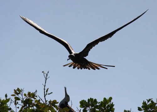 MFB PGHEvans 6851 image mfb_pghevans_6851-jpg