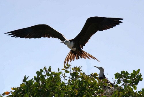 image mfb_pghevans_6852-jpg