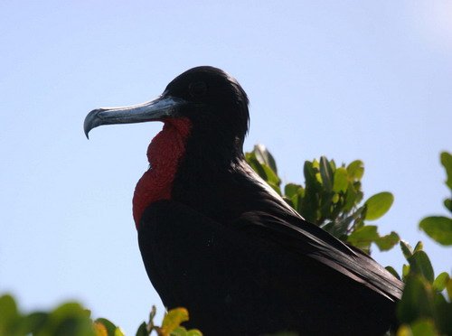 MFB PGHEvans 6854 image mfb_pghevans_6854-jpg