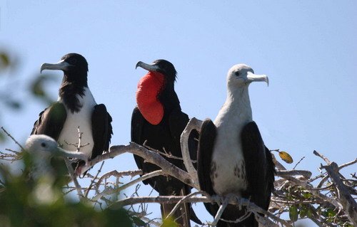 MFB PGHEvans 6863 image mfb_pghevans_6863-jpg