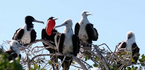 MFB PGHEvans 6865a image mfb_pghevans_6865a-jpg