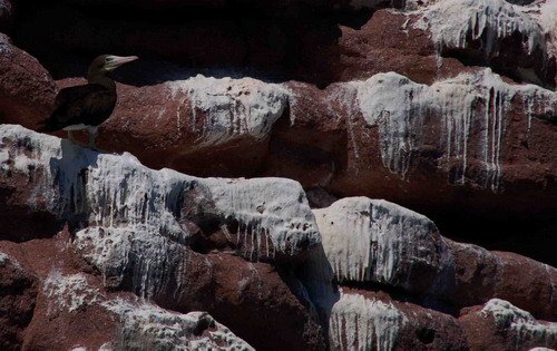 image bfboobie_lhandley2639-jpg