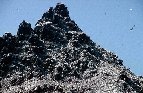 image gan_pghevans10-jpg