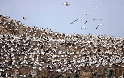 image gan_pghevans4404-jpg