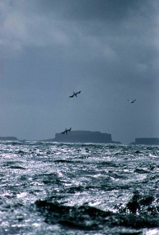 image gan_pghevans5-jpg