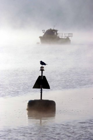 image hgull_pghevans5032-jpg