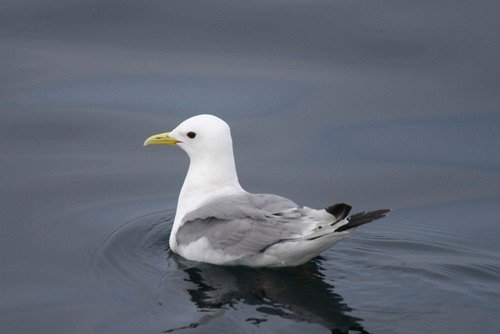 image kit_panderwald0757-jpg