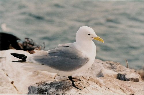 image kit_panderwald1-jpg