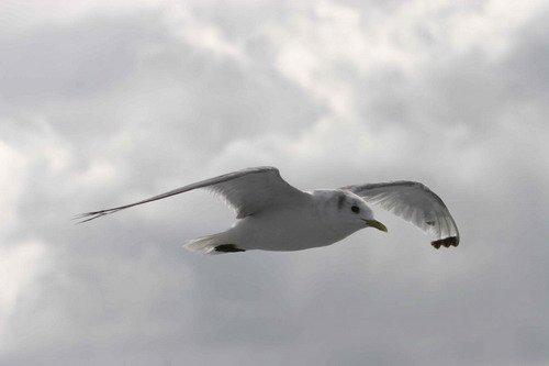 image kit_panderwald2189-jpg